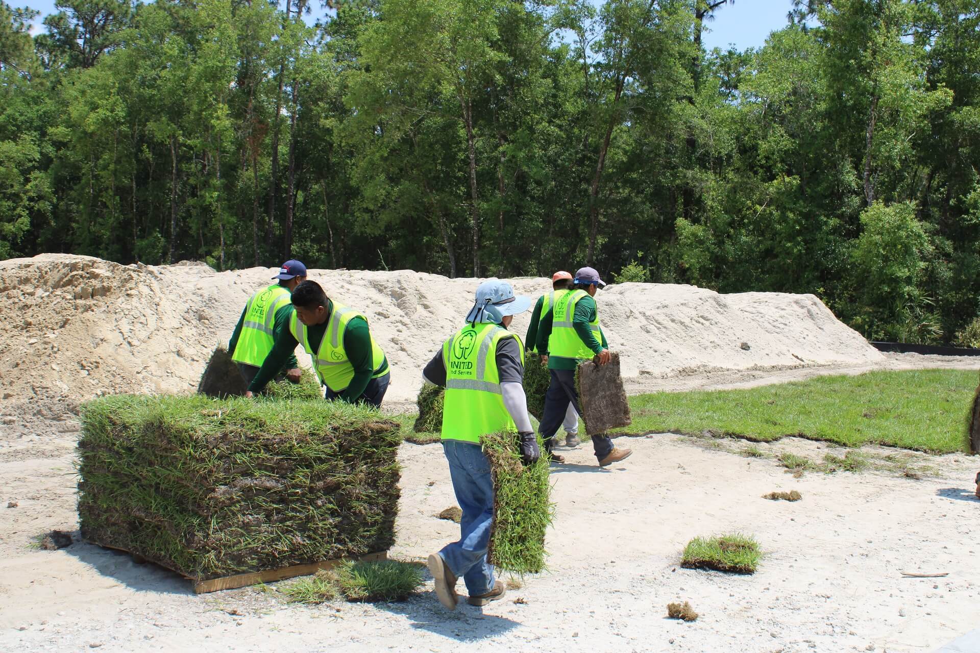 Sod Installation United Land Services