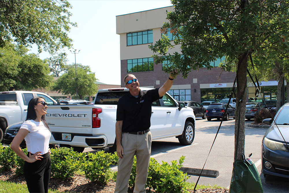 Landscaping Commercial Temple City thumbnail
