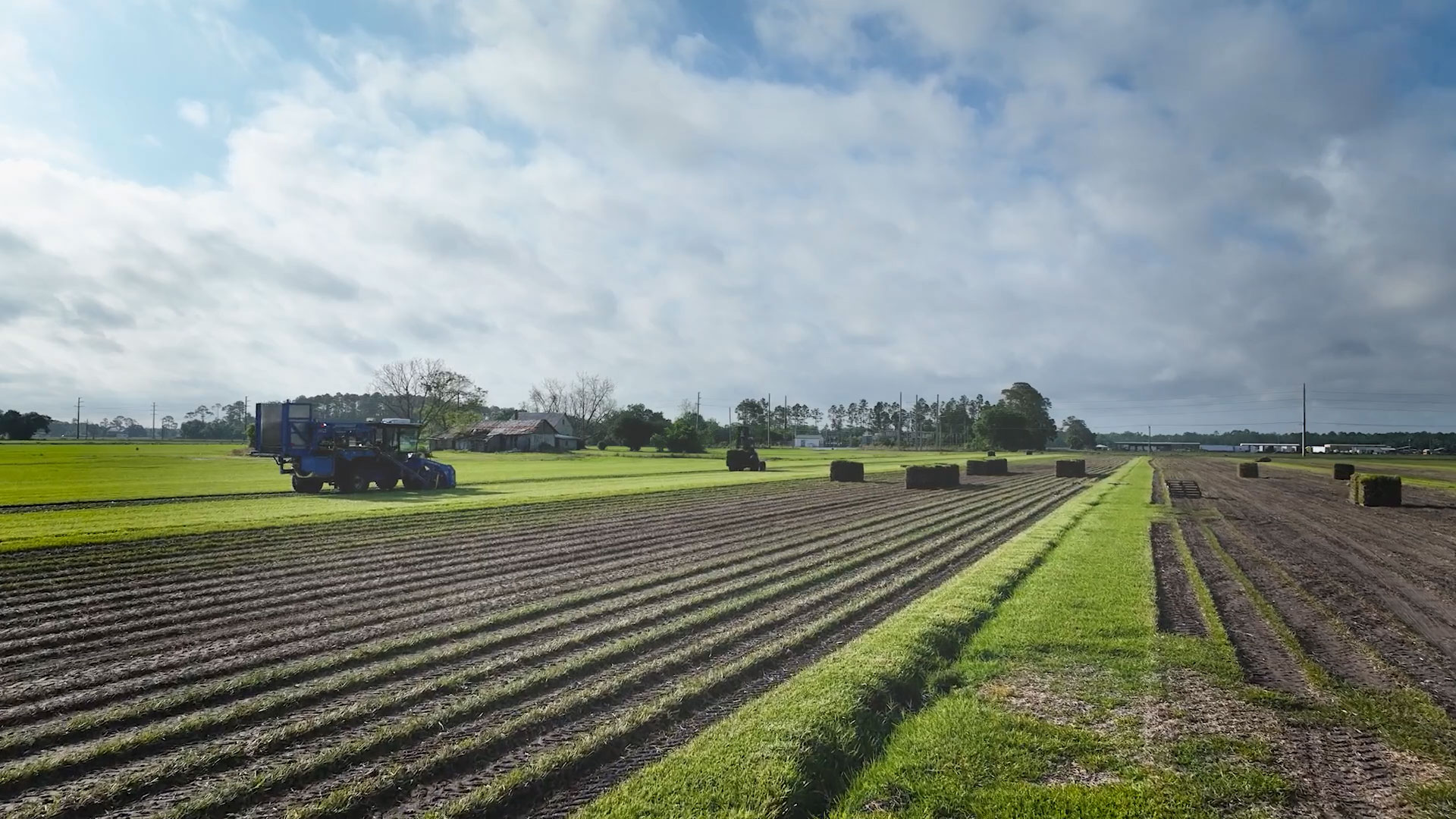 United Land Services