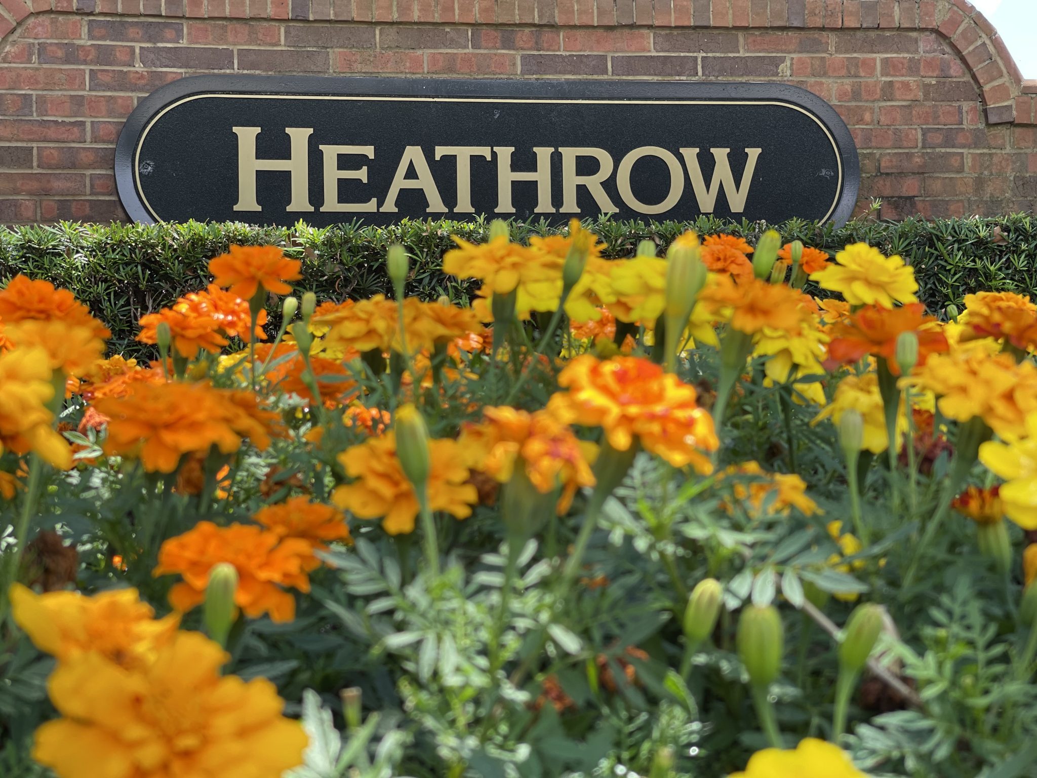 Heathrow Master Association United Land Services